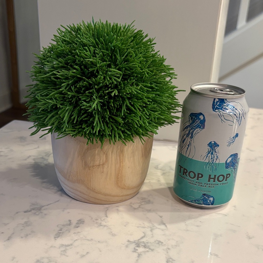 Opalhouse Green Faux Plant in Wooden Pot